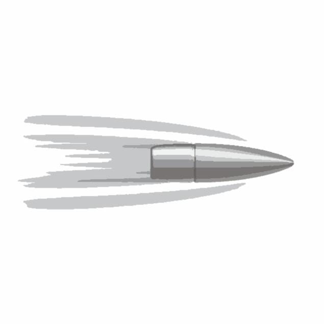 Silver_Bullet's profile