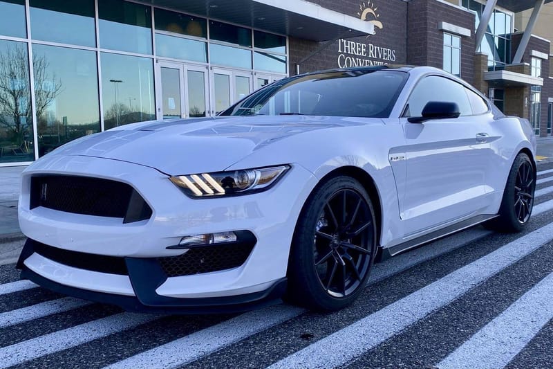 2016 Ford Mustang Shelby GT350 auction - Cars & Bids